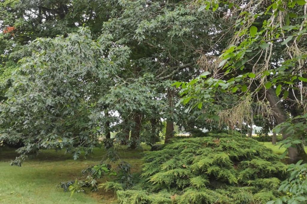 Propriete De Campagne Villa Vierzon Luaran gambar